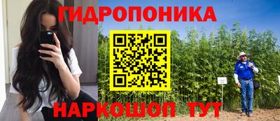 Альфа ПВП Обнинск