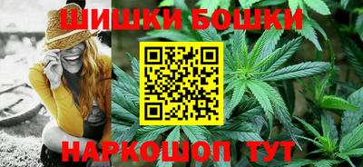 тгк Обь