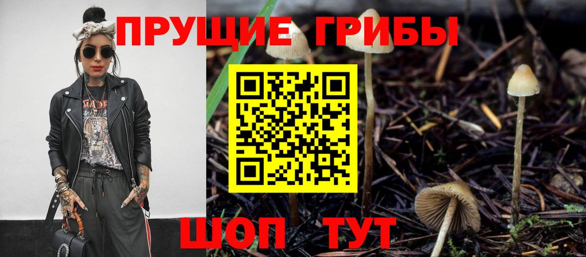 Галлюциногенные грибы ЛСД  Вход с VPN  Белореченск 